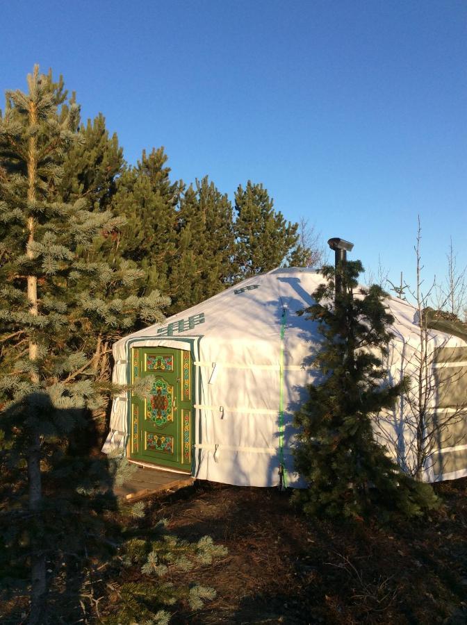 Valhalla Yurts Odin Selfoss Esterno foto